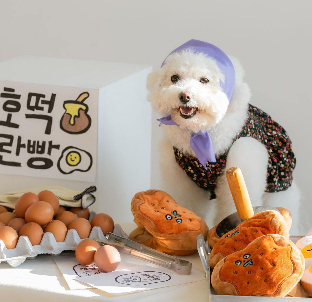 Dorayaki Nosework Toy