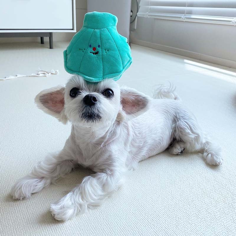 Seashell Pearl Plush Toy