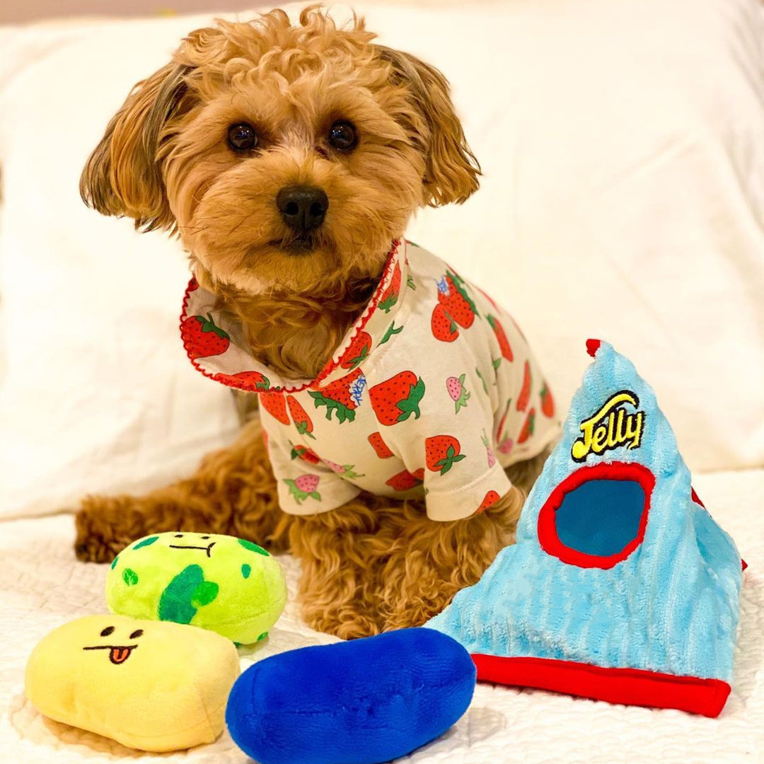 Jelly Bean Candy House Toy Set