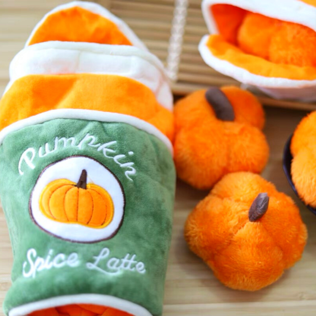 Pumpkin Spice Latte Nosework Toy