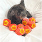 Lollipop Candy Nosework Dog Toy