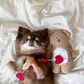 Love Teddy Sniff Toy
