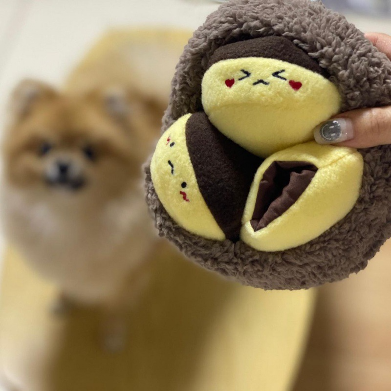 Little Chestnut Family Sniff Toy Set