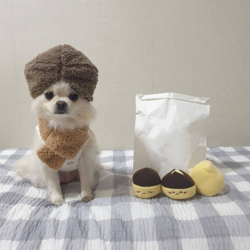 Little Chestnut Family Sniff Toy Set