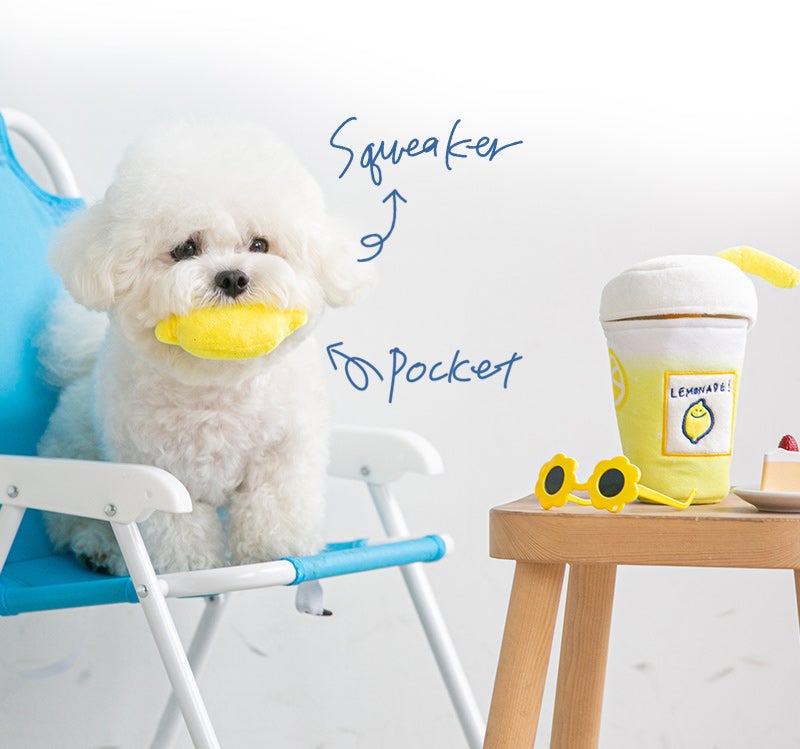 So Cool Lemonade Nosework Set Toy