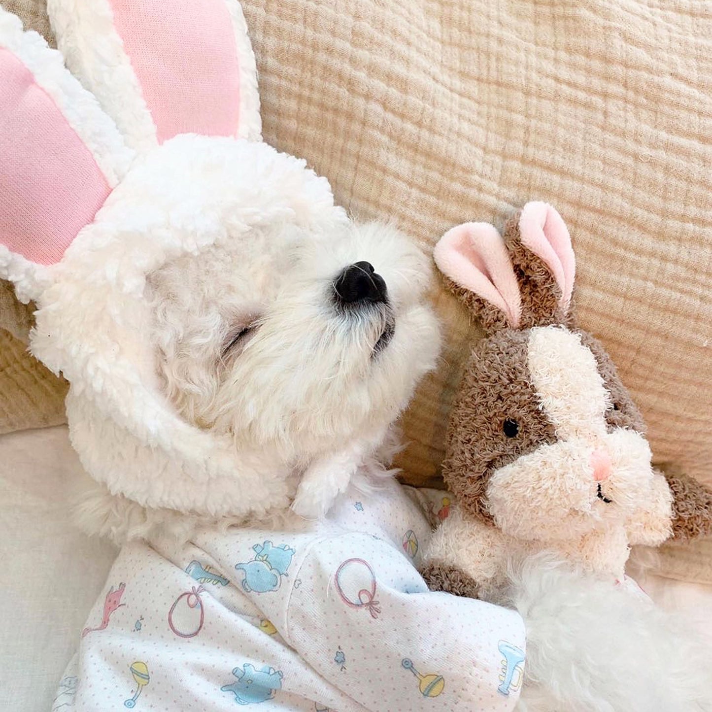 Little Hunny Bunny Toy
