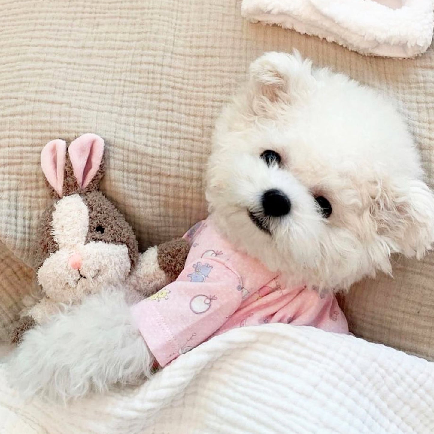 Little Hunny Bunny Toy