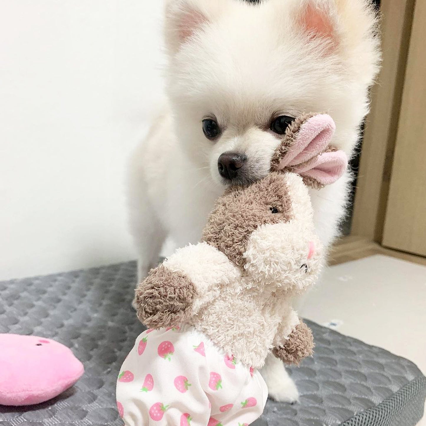 Little Hunny Bunny Toy