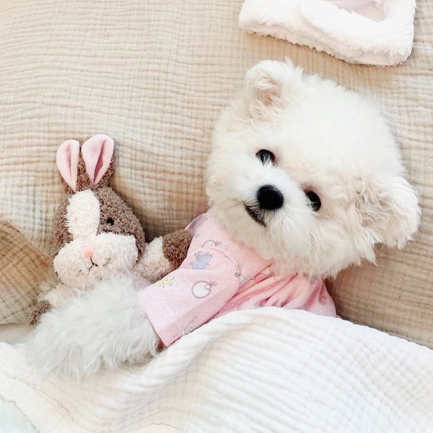 Little Hunny Bunny Toy