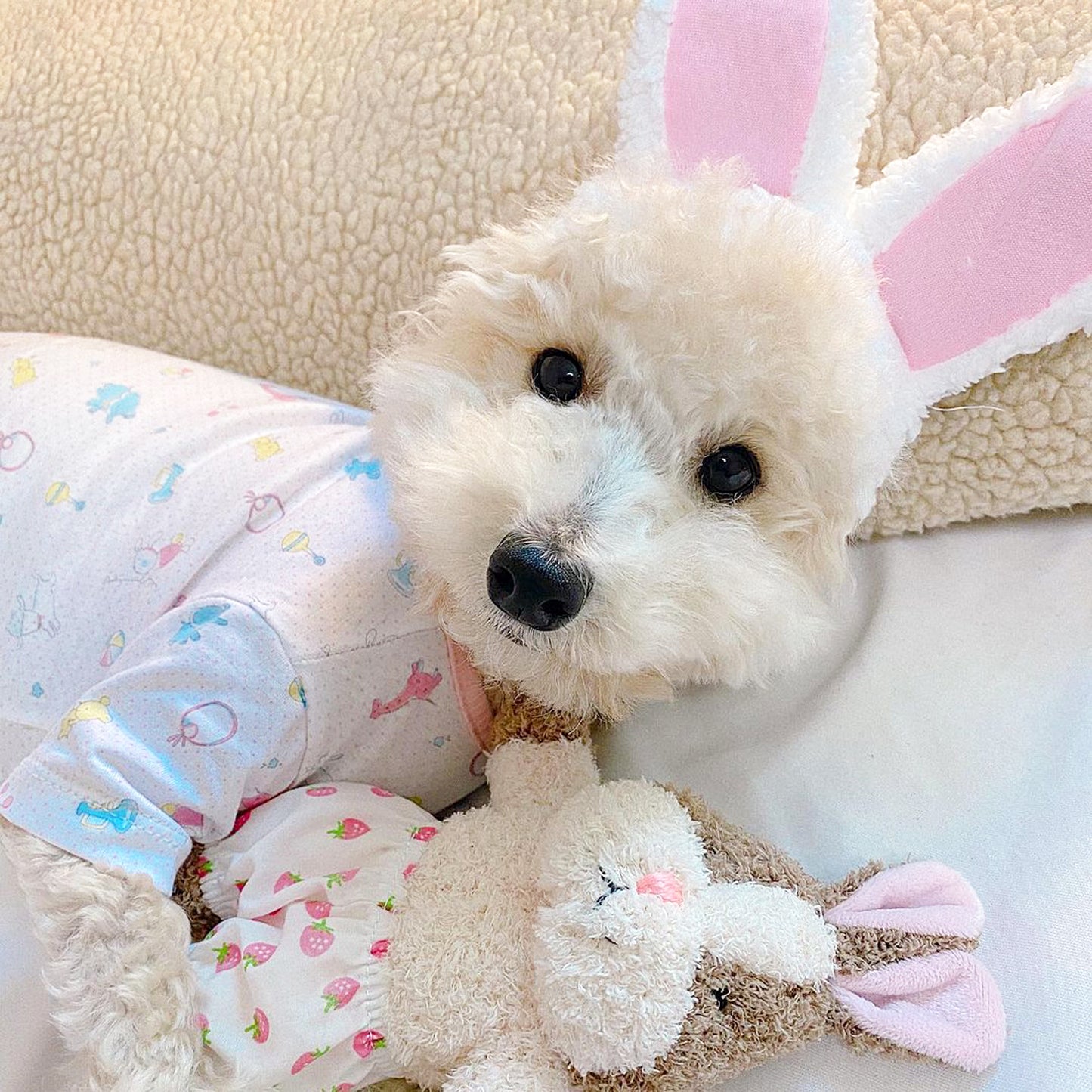 Little Hunny Bunny Toy