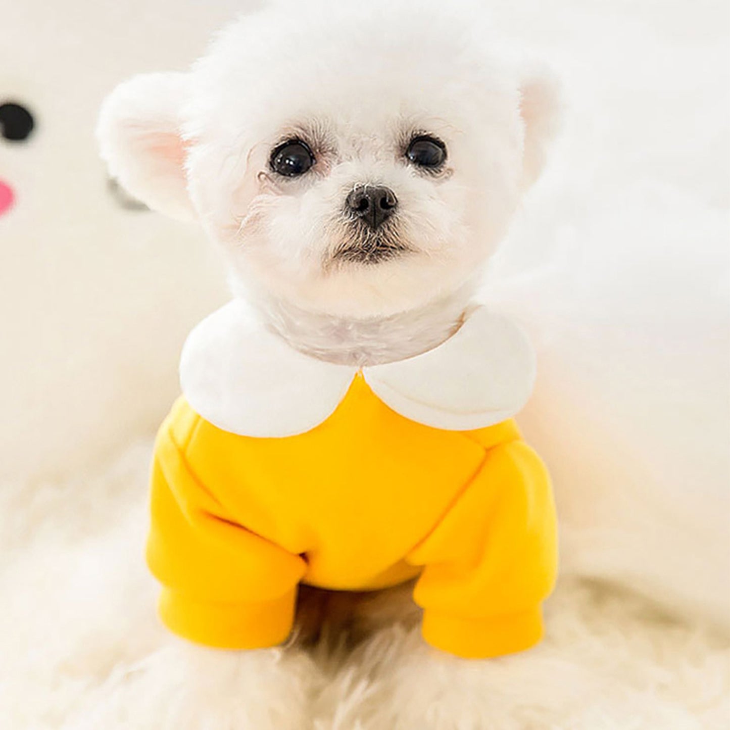 Little Bunny and Sunflower Shirt
