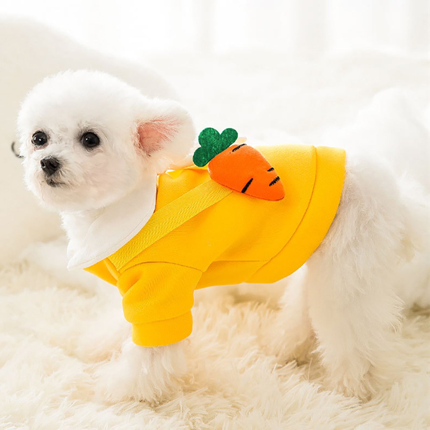 Little Bunny and Sunflower Shirt