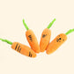 Little Carrots Family Plush Toy