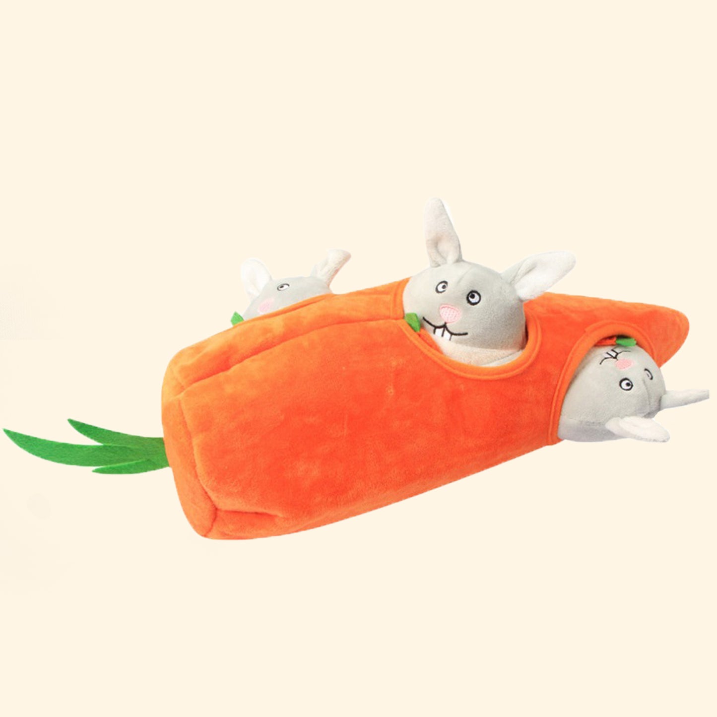 Little Bunny Carrot Hunter House