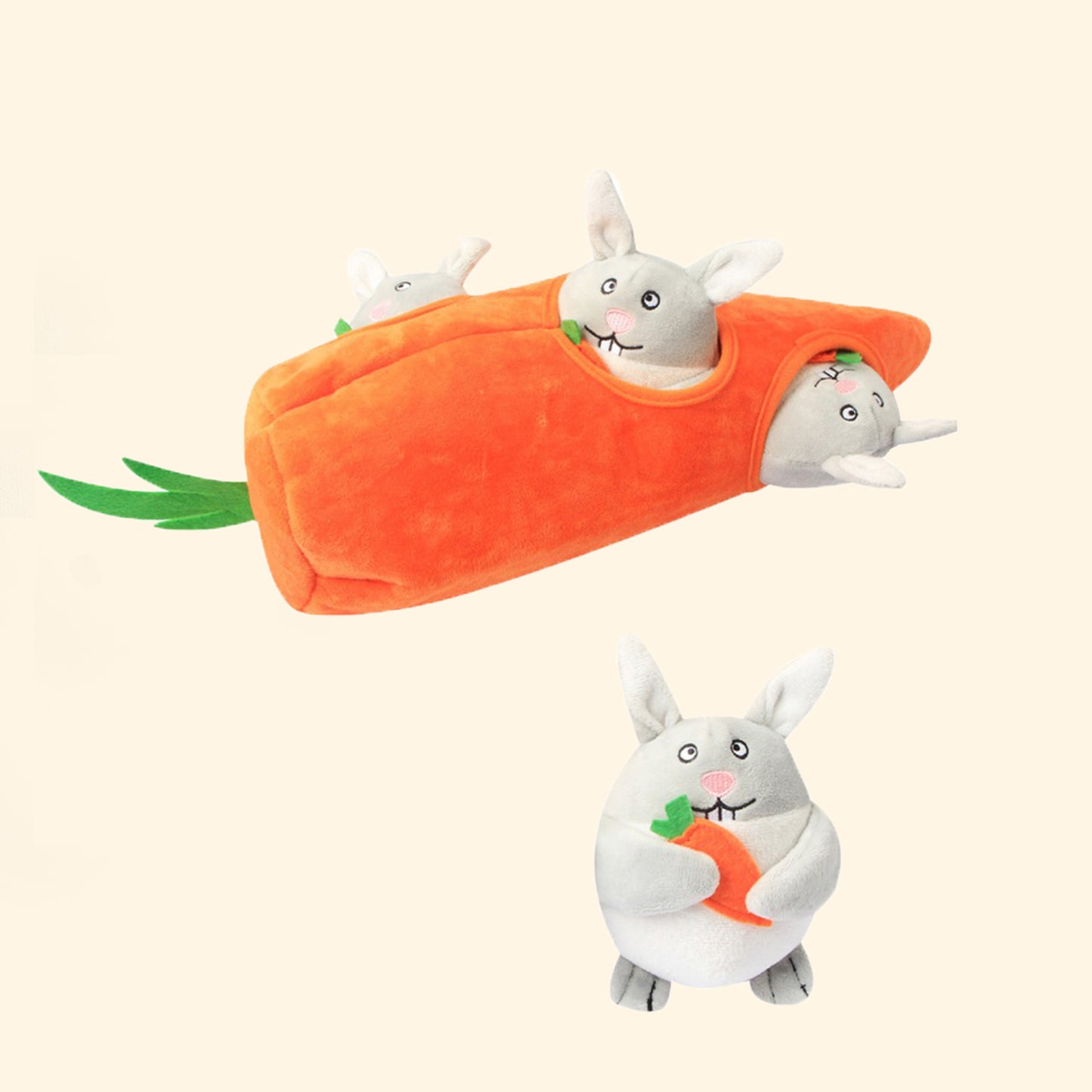 Little Bunny Carrot Hunter House
