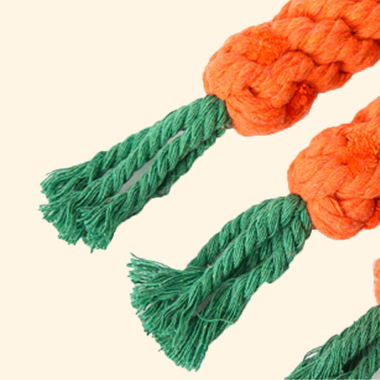 Sweet Carrot Rope Toy