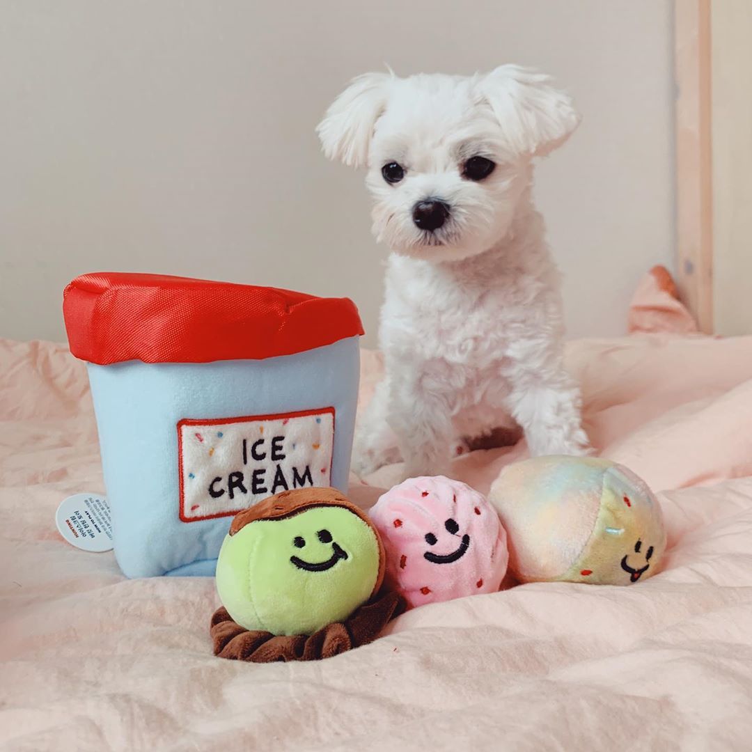 Ice Cream Bucket Nosework Dog Toy