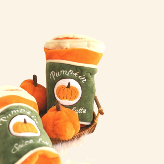 Pumpkin Spice Latte Nosework Toy