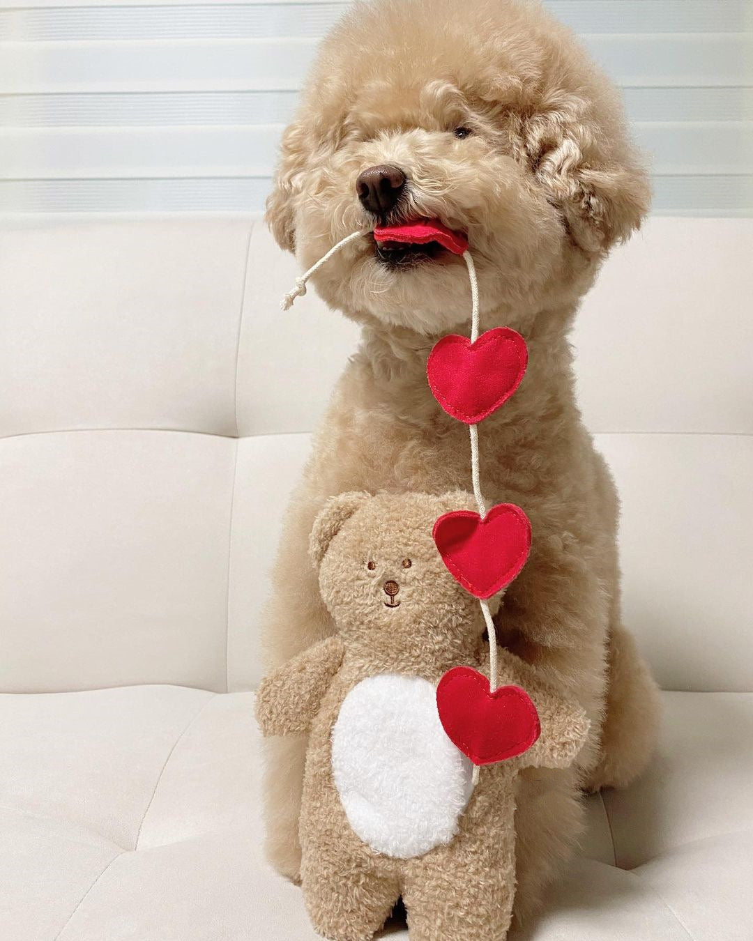 Love Teddy Sniff Toy