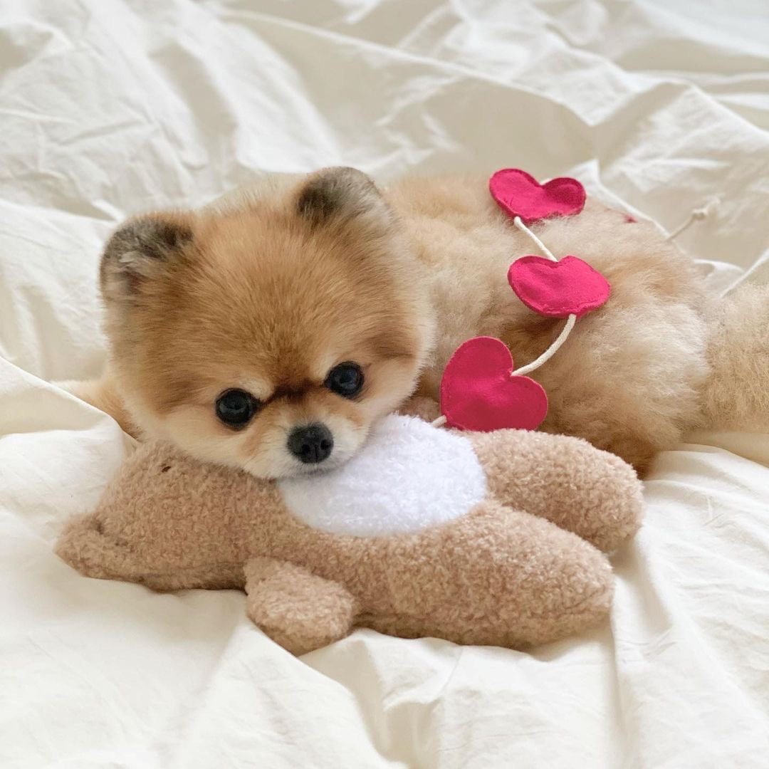 Love Teddy Sniff Toy