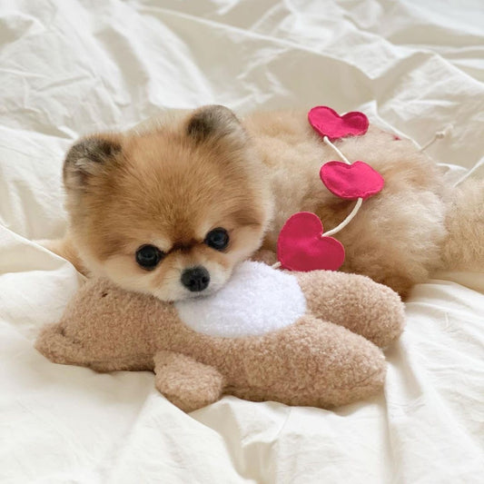 Love Teddy Sniff Toy