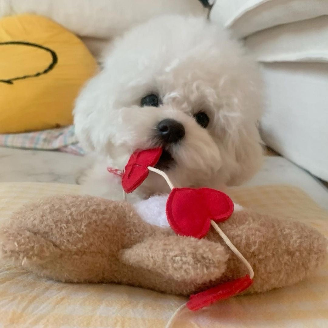 Love Teddy Sniff Toy