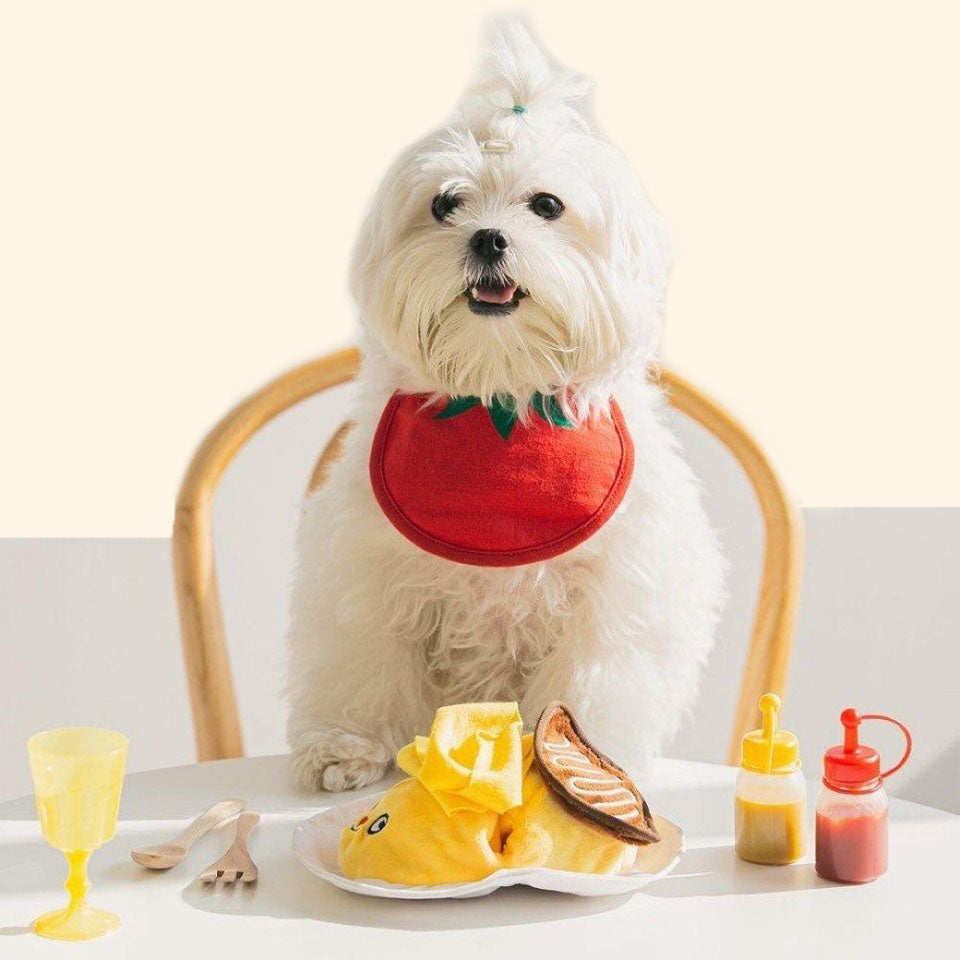 OH MY OMELETTE Nosework Toy