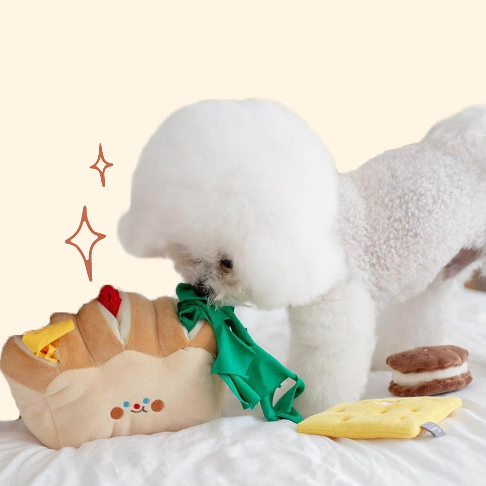 Petto Club Toast Bread