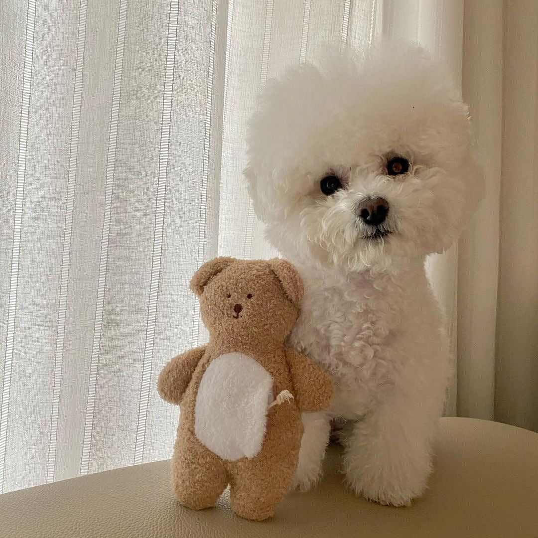 Love Teddy Sniff Toy