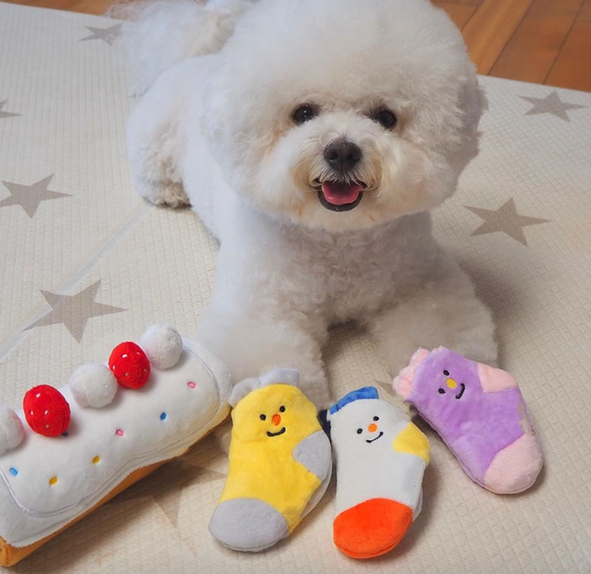 Happy Socks Nosework Set Toy