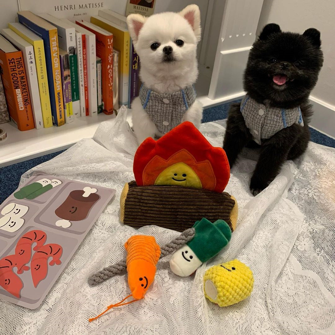 Bonfire BBQ Set Sniff Toys