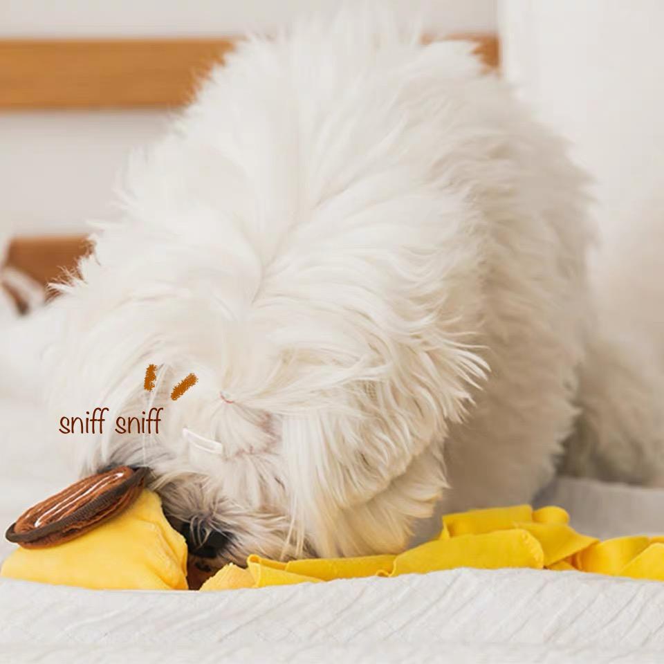 OH MY OMELETTE Nosework Toy