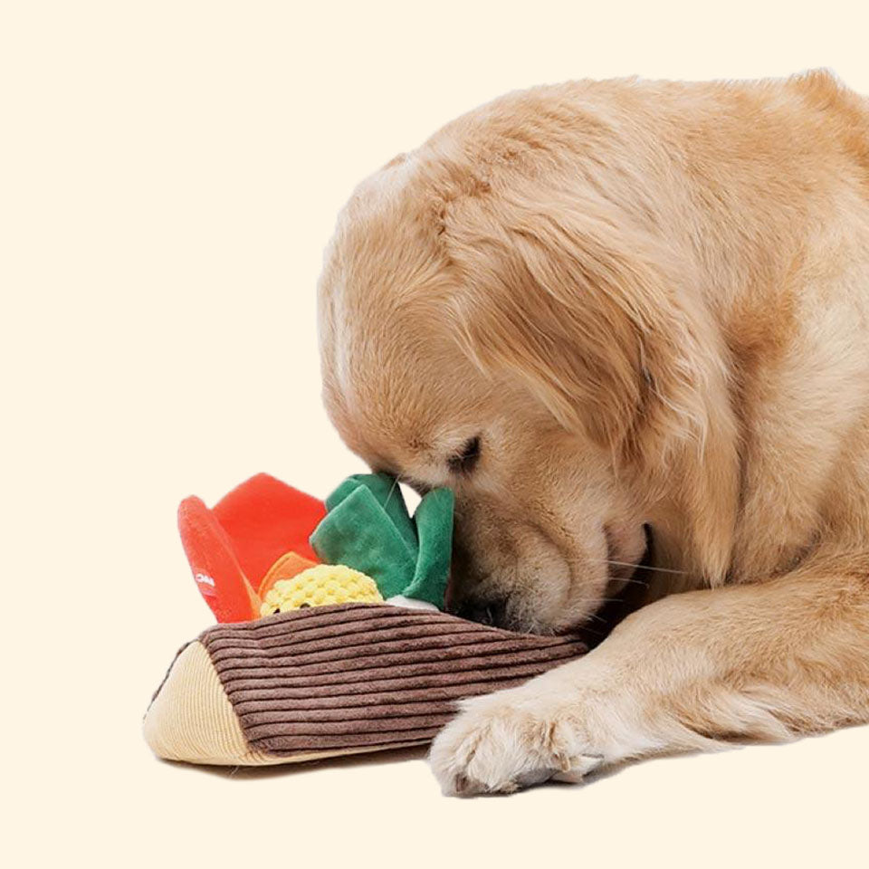 Bonfire BBQ Set Sniff Toys