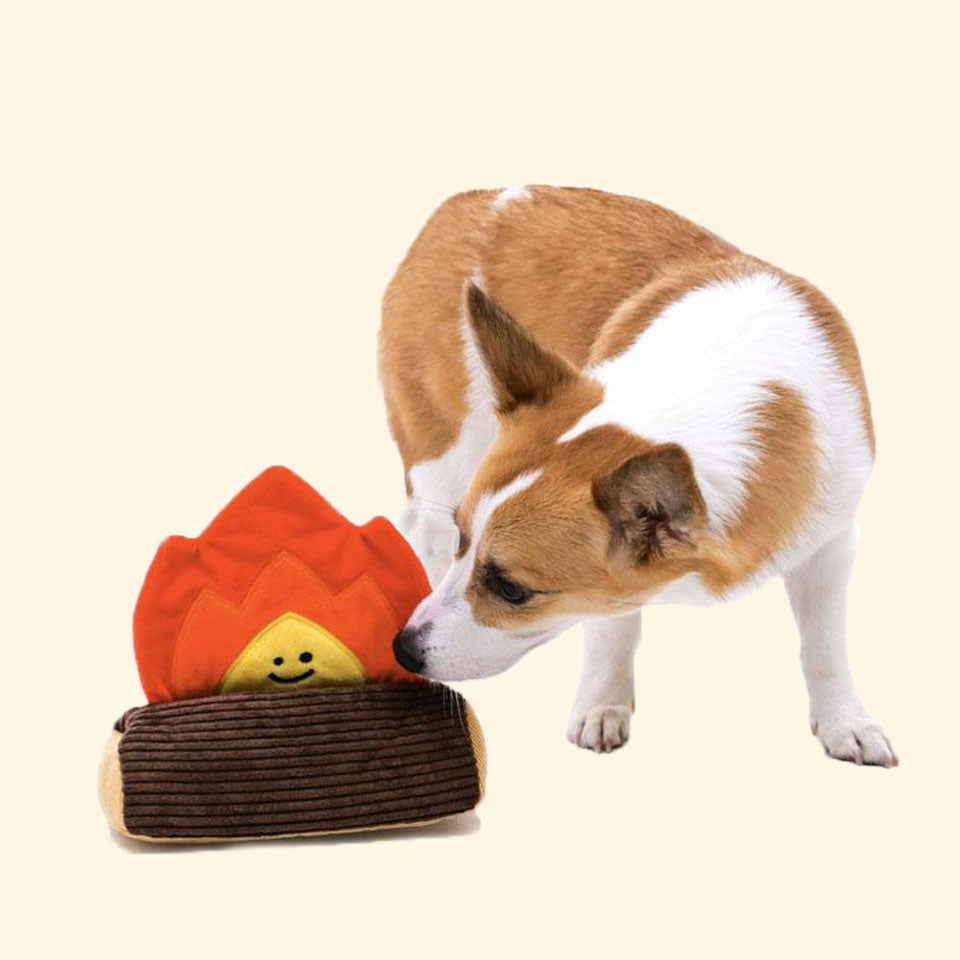 Bonfire BBQ Set Sniff Toys