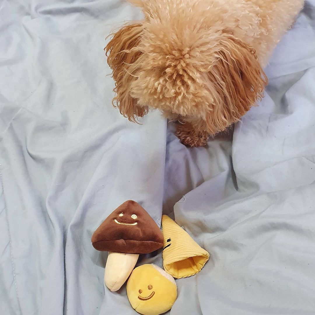 Little Mushroom Set Dog Toy