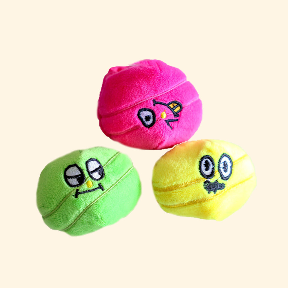 Rainbow Candy Bucket Set Nosework Toy