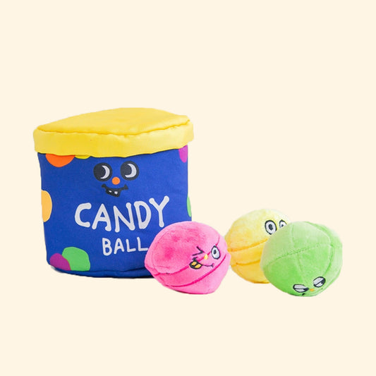 Rainbow Candy Bucket Set Nosework Toy