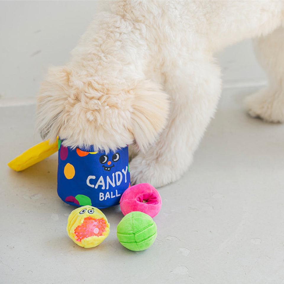 Rainbow Candy Bucket Set Nosework Toy