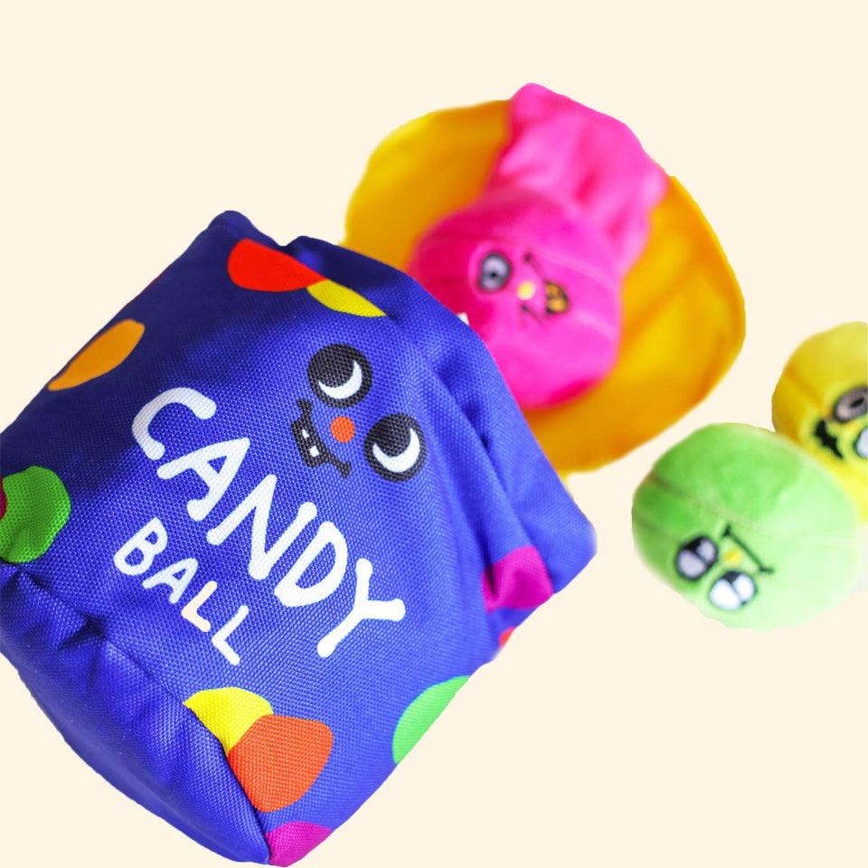 Rainbow Candy Bucket Set Nosework Toy