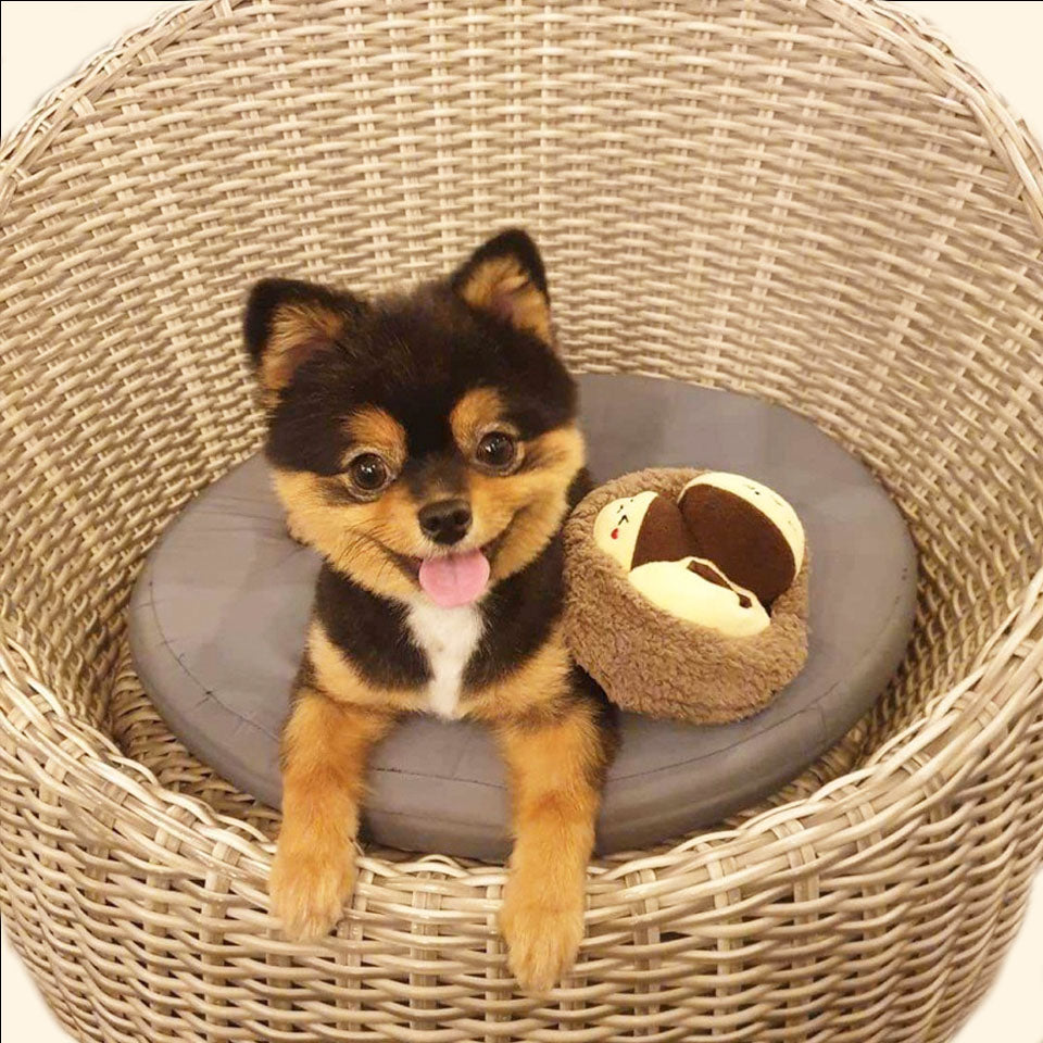 Little Chestnut Family Sniff Toy Set