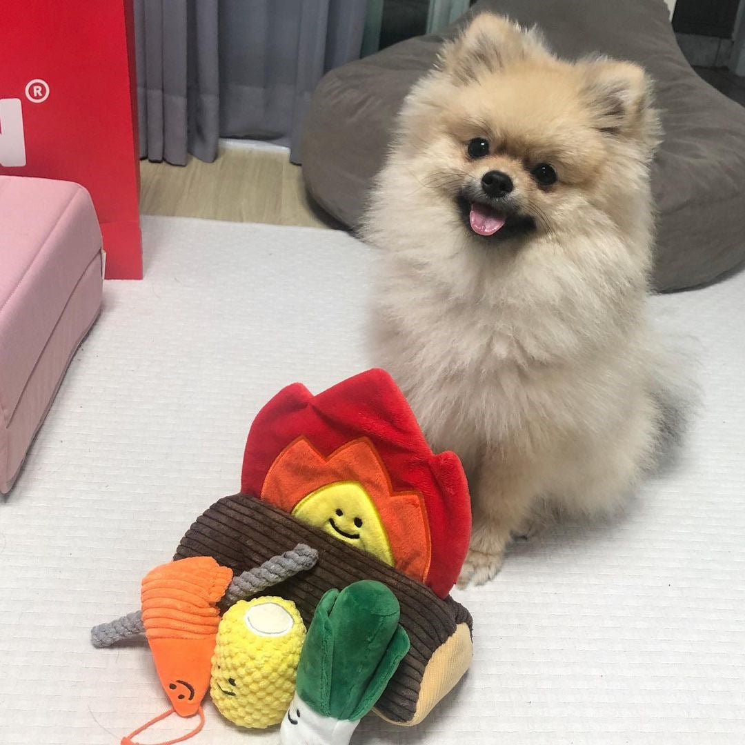 Bonfire BBQ Set Sniff Toys