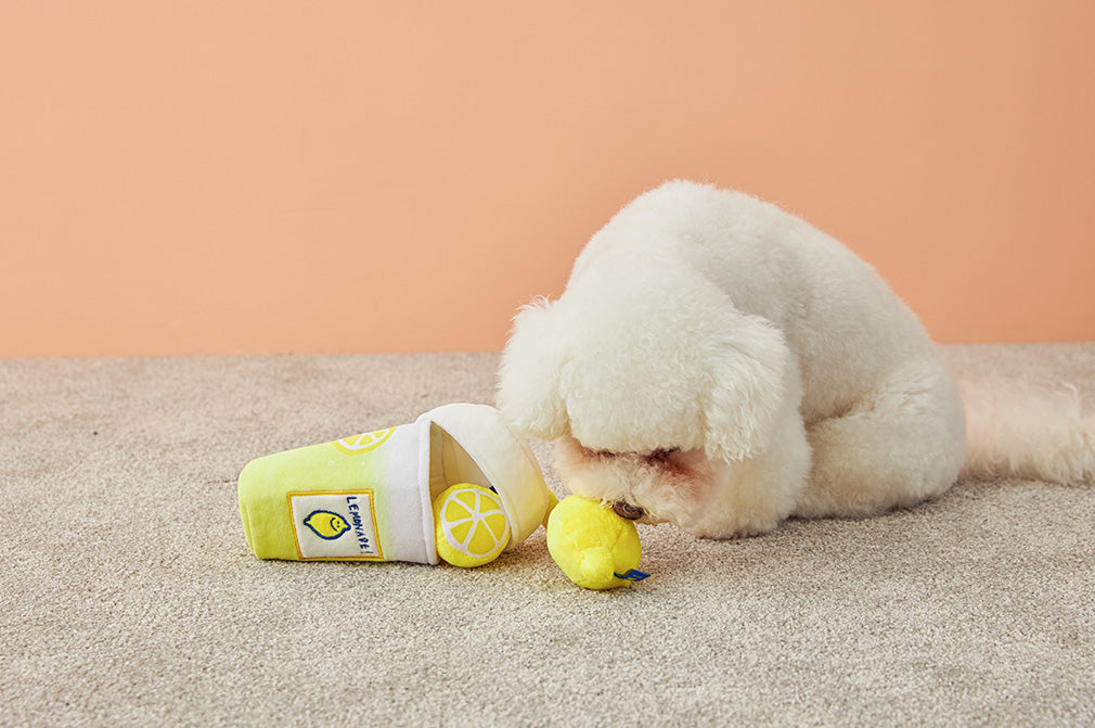 So Cool Lemonade Nosework Set Toy