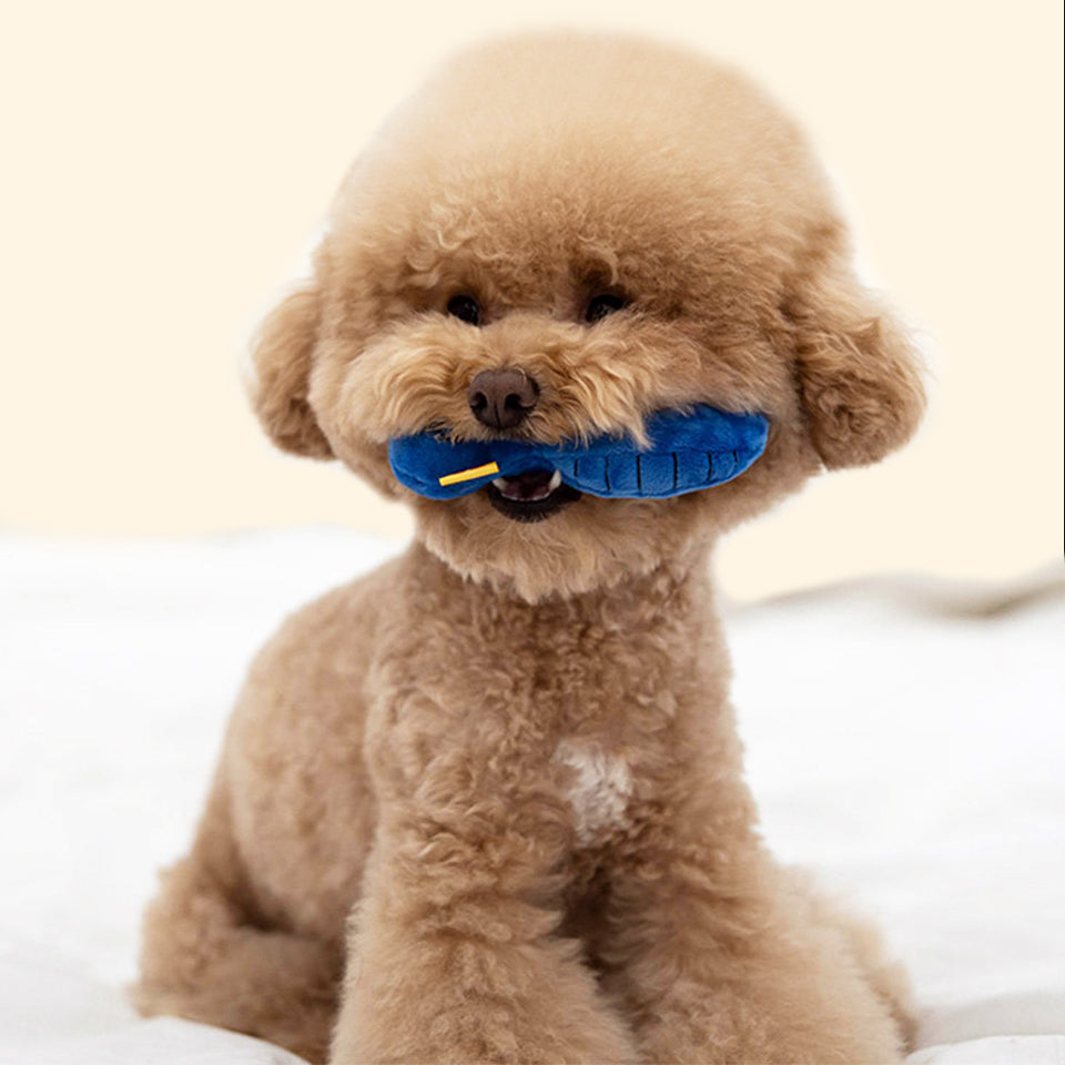 No Bad Hair Day Toy