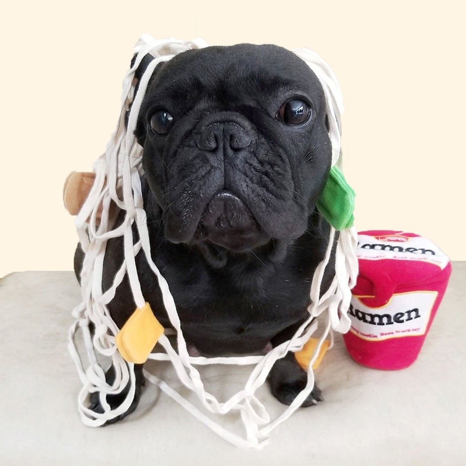 Slurp Slurp Ramen Nosework Toy