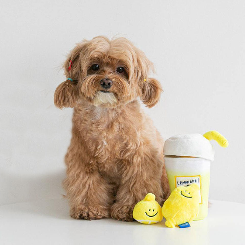 So Cool Lemonade Nosework Set Toy