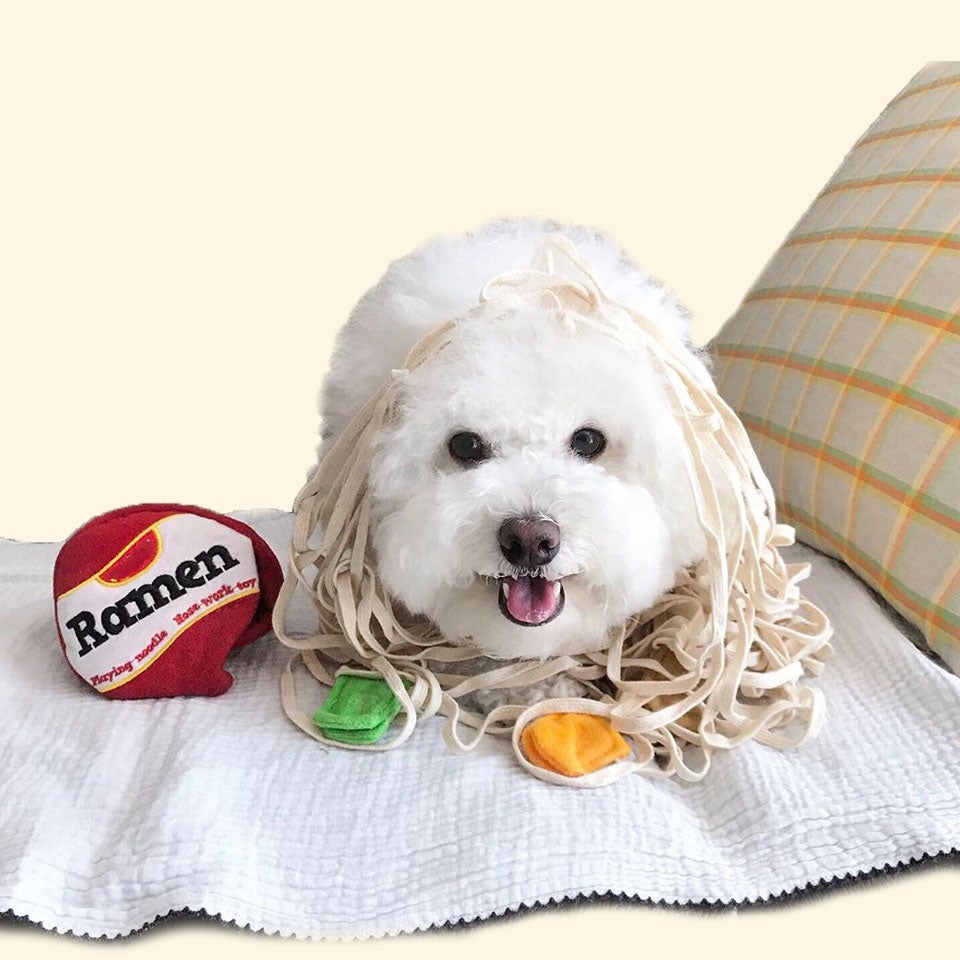 Slurp Slurp Ramen Nosework Toy