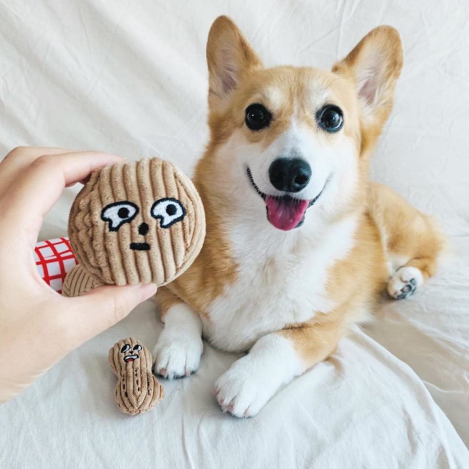 Little Peanuts Plush Toy Set