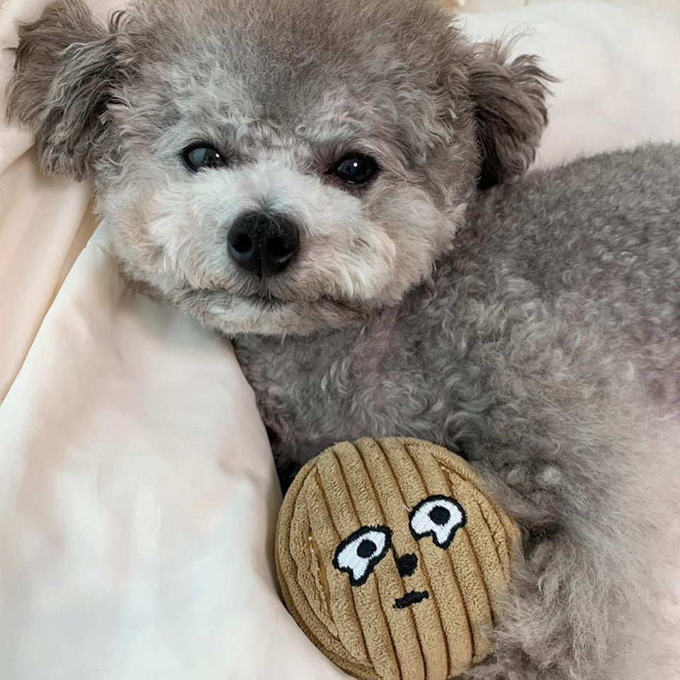 Little Peanuts Plush Toy Set