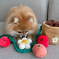 Strawberry Potted Plant Sniff Toy
