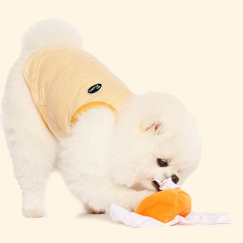 Mini Trio Pumpkins Set